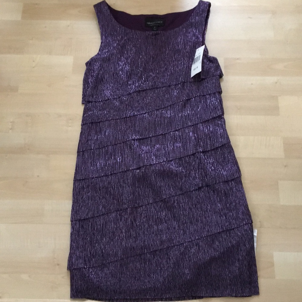 NWT Purple shimmery dress
